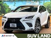 2019 LEXUS NX