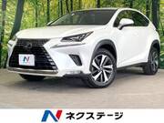 2017 LEXUS NX