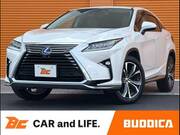 2019 LEXUS RX