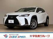 2019 LEXUS UX