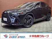 2023 LEXUS NX
