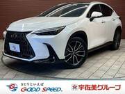 2023 LEXUS NX