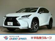 2016 LEXUS NX