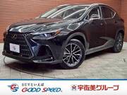 2024 LEXUS NX