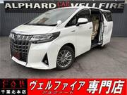 2019 TOYOTA ALPHARD HYBRID