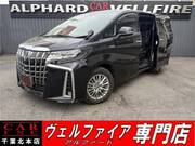 2019 TOYOTA ALPHARD HYBRID