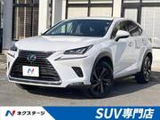 2018 LEXUS NX