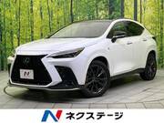 2023 LEXUS NX