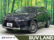 2019 LEXUS NX