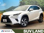 2020 LEXUS NX