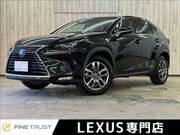 2018 LEXUS NX