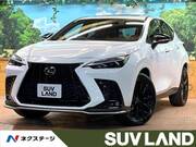 2023 LEXUS NX