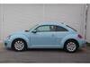VOLKSWAGEN THE BEETLE