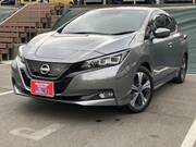 2021 NISSAN LEAF