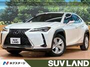 2019 LEXUS UX