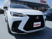 2022 LEXUS NX