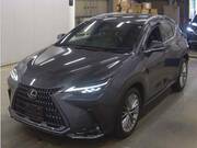 2021 LEXUS NX