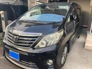 2013 TOYOTA ALPHARD