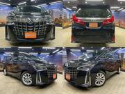2019 TOYOTA ALPHARD