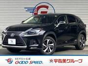 2019 LEXUS NX