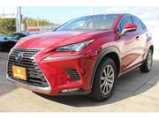 2017 LEXUS NX