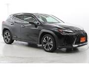 2019 LEXUS UX