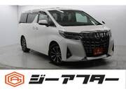 2019 TOYOTA ALPHARD 2.5X