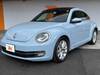 VOLKSWAGEN THE BEETLE