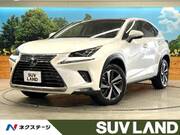 2019 LEXUS NX
