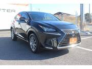 2017 LEXUS NX