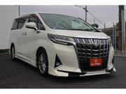 2019 TOYOTA ALPHARD 2.5G