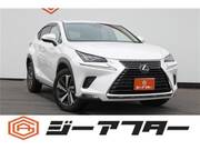 2017 LEXUS NX