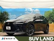 2023 LEXUS NX