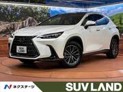 2024 LEXUS NX
