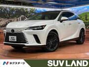2023 LEXUS RX
