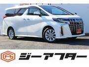 2020 TOYOTA ALPHARD 2.5S