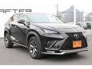 2017 LEXUS NX