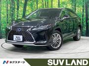 2019 LEXUS RX