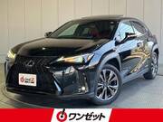 2020 LEXUS UX