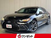 2019 LEXUS ES