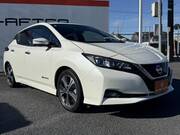 2020 NISSAN LEAF G