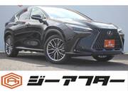 2022 LEXUS NX