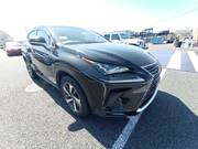 2019 LEXUS NX