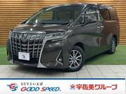 2018 TOYOTA ALPHARD X
