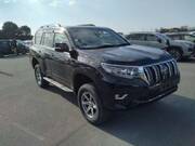 2019 TOYOTA LAND CRUISER PRADO TX