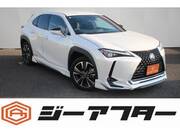 2020 LEXUS UX