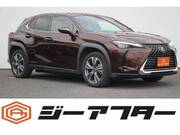 2021 LEXUS UX