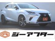 2021 LEXUS NX