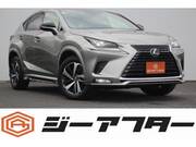 2020 LEXUS NX