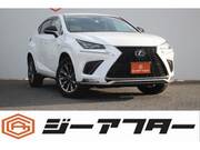2020 LEXUS NX